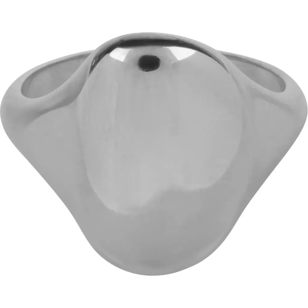 Charmins Ring - R1149 - Large Organic Signet Ring Steel Comfortable Eyecatcher