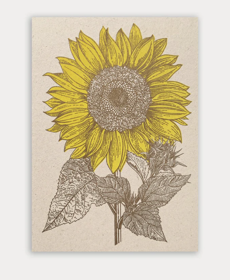 Togethery - Riso-Druck Postkarte Ökopapier - Sonnenblume