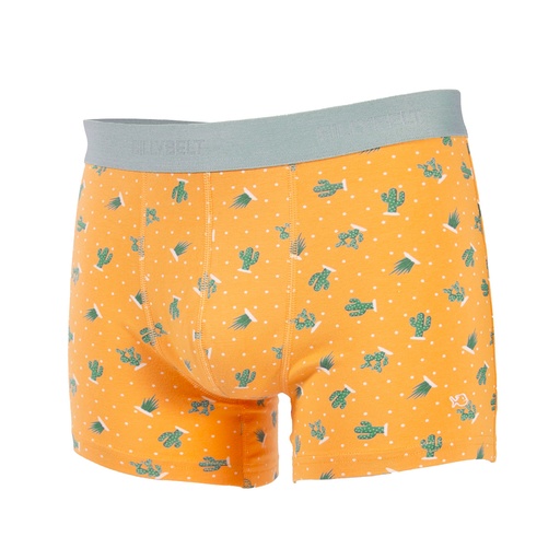 Billybelt - Boxershorts Saguaro - BO58 