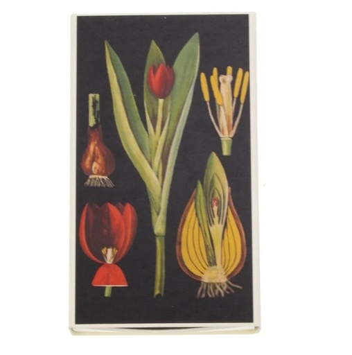 [33L105] Meander - Streichhölzer Tulpe - 11x6,5x2 cm