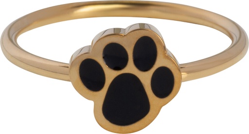 Charmins Ring - KR163 - Kinderring gold pet claw 