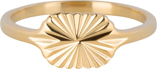 Charmins Ring - R1345 - Gold-Colored Signet Ring Engraving Star Pattern Oval Steel