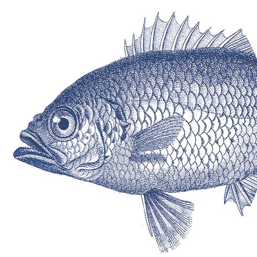 [007404] PPD - Fish Marine Servietten 33x33
