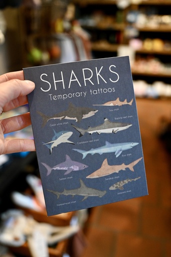 [29475] Kindertattoos Sharks