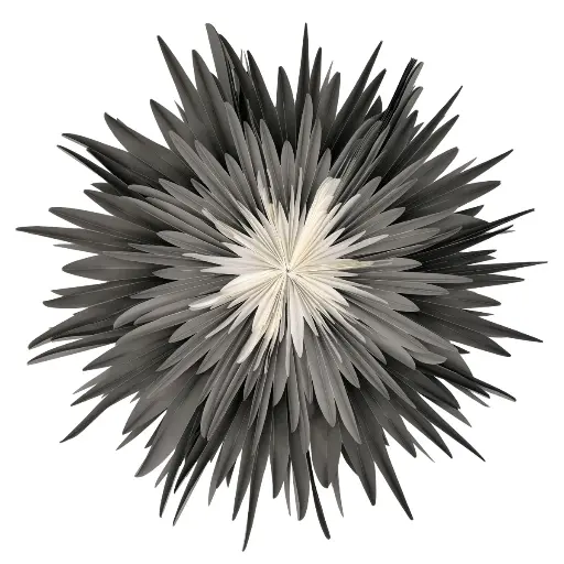 [STELLA-054] Mea Living - Stella-Dalia, Pergamentpapier anthrazit/grau/weiß 40 cm