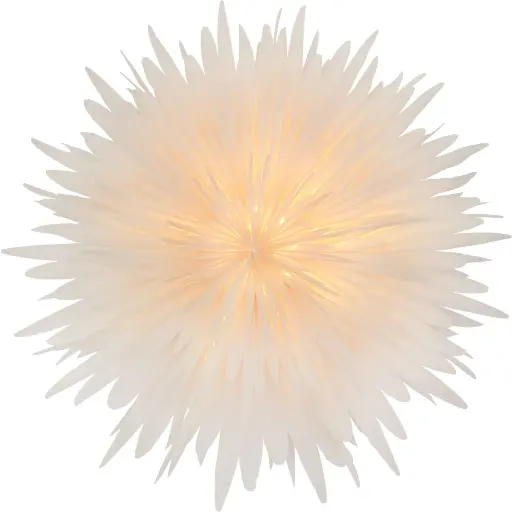 [STELLA-029] Mea Living - Stella-Dalia, Pergamentpapier weiß 60 cm