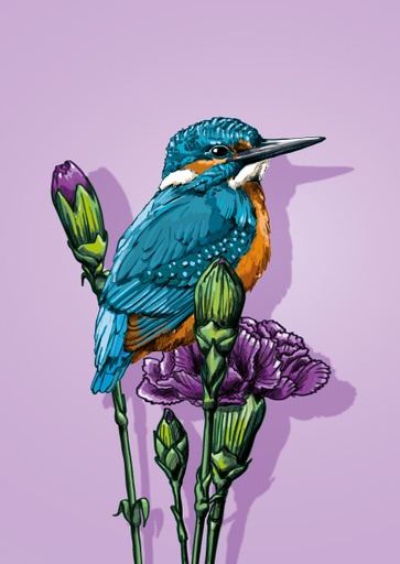 [il0394] Nobis Design - Postkarte - illi - Jonto