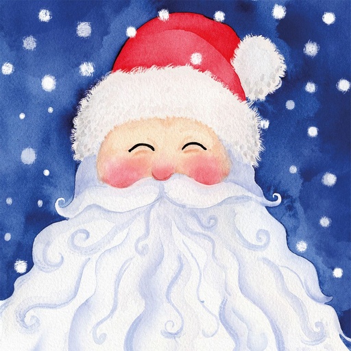 [333003162] PPD - Finally Napkin 33x33