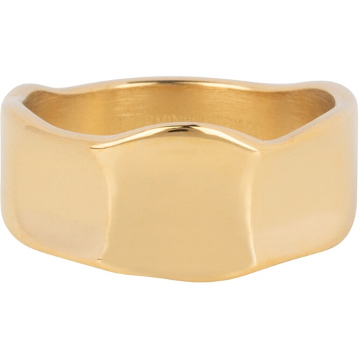 Charmins Ring - R1391 - Wide modern fantasy ring steel gold