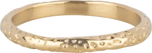 Charmins Ring - R1642 - Gold-Colored Oval Ring with Hammered Design Steel Authentic Handmade Look