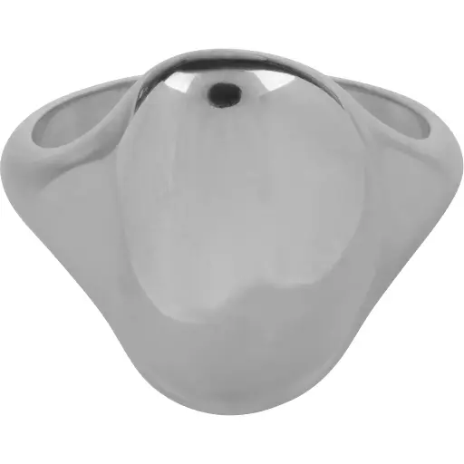 Charmins Ring - R1149 - Large Organic Signet Ring Steel Comfortable Eyecatcher