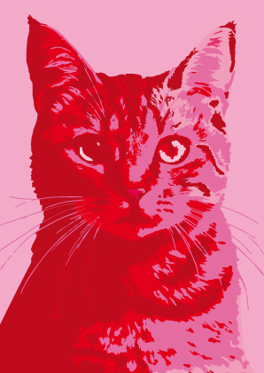 [TS7005] Nobis Design - Postkarte - Toni Starck - Pink Cat