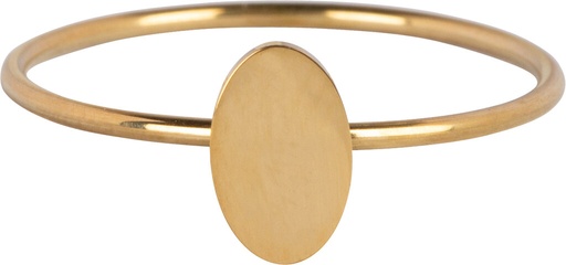 Charmins Ring - R719 - Minimalist Oval Steel Ring Gold