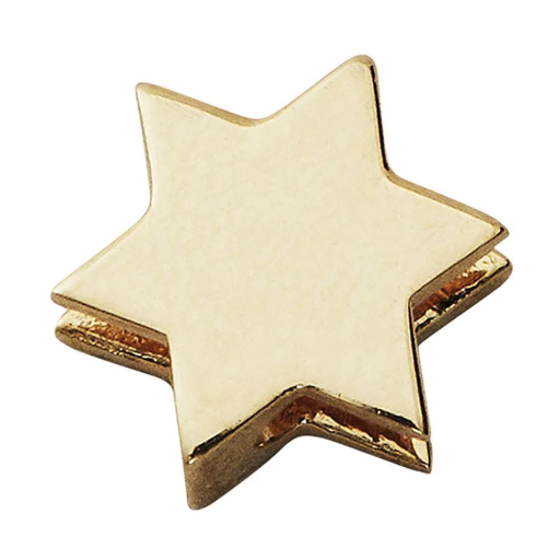 [90201551GOLD] Design Letters - Gold Enamel Star Charm gold